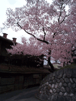 kawadu04.gif