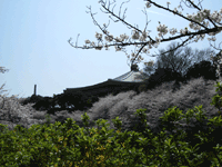 kawadu03.gif